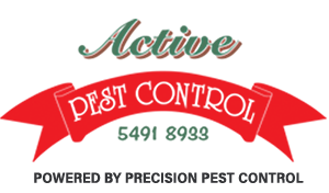 Active termite and pest control Sunshine Coast 